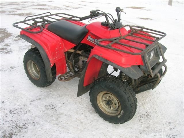 1999 Yamaha 250 Bear Tracker 