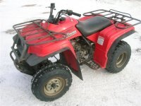 Traqueur d'ours Yamaha 250 1999