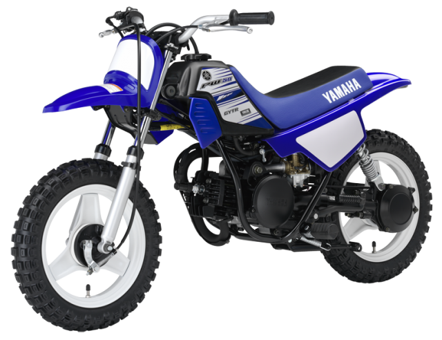 2016 Yamaha PW50 (2 Stroke)