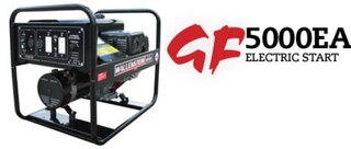 Wallenstein GF5000EA Electric Start Generators