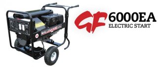 Wallenstein GF6000EA Generators