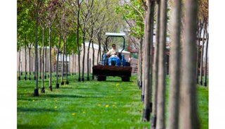 New Holland NEW Boomer™ Compact Tractors - Boomer 30