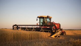 New Holland H8000 Series Speedrower® Self-Propelled Windrowers - H8060