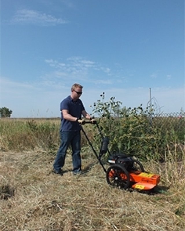 Echo WT190 Wheeled Trimmer 