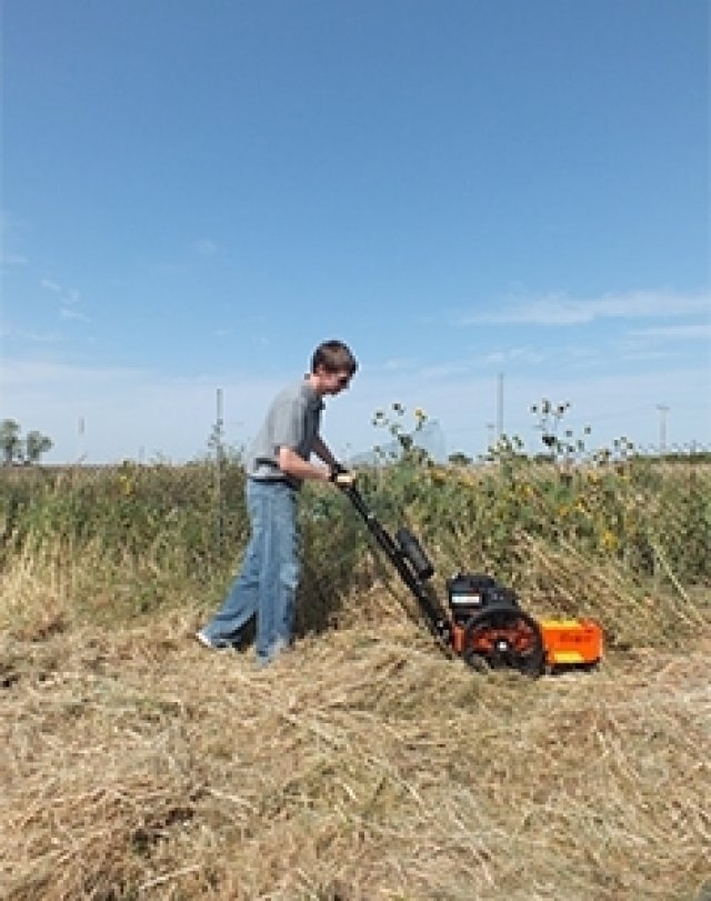 Echo WT190 Wheeled Trimmer 