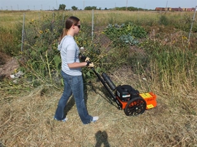 Echo WT190 Wheeled Trimmer 