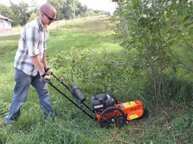 Echo WT190 Wheeled Trimmer 