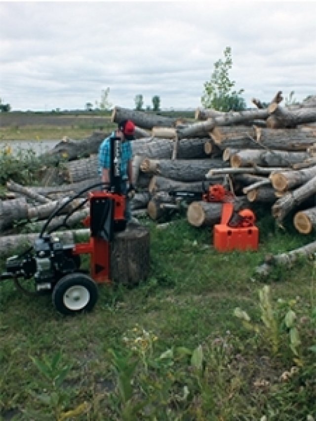 Echo LS22 22 Ton Log Splitter