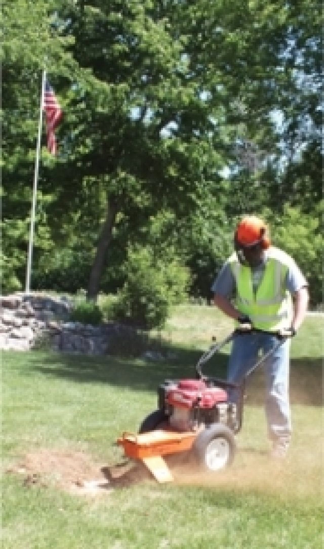 Echo SG340 Stump Grinder