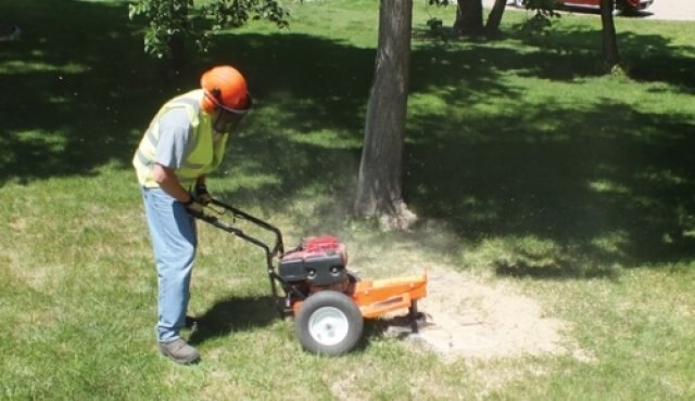 Echo SG340 Stump Grinder