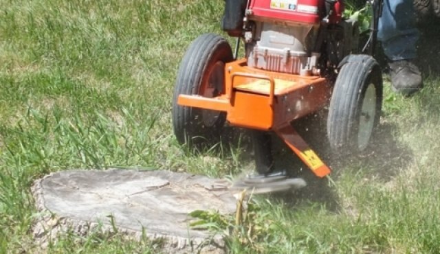 Echo SG340 Stump Grinder