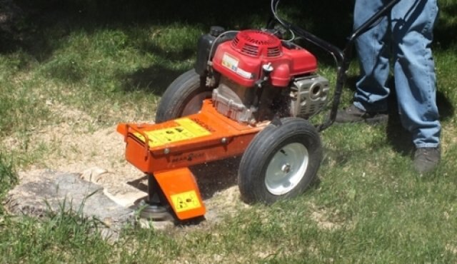 Echo SG340 Stump Grinder