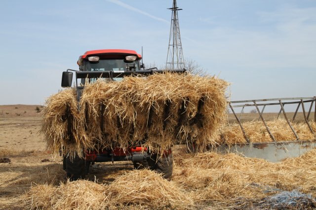 Landpride SGM15 Series Manure Grapples