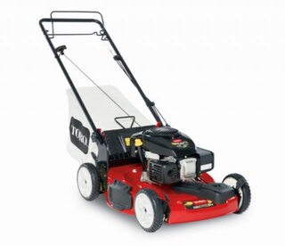 Toro Variable Speed (20370)