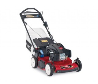 Toro Personal Pace® Electric Start (20374)