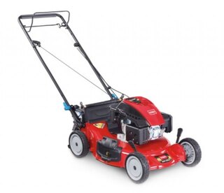 Toro Variable Speed (20380)