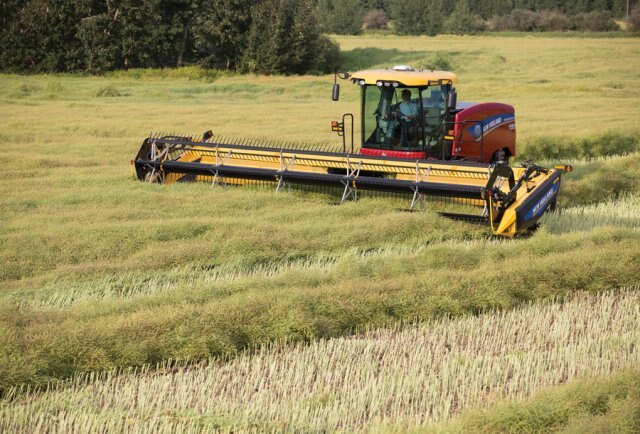 New Holland Speedrower® SP Windrowers Tier 3