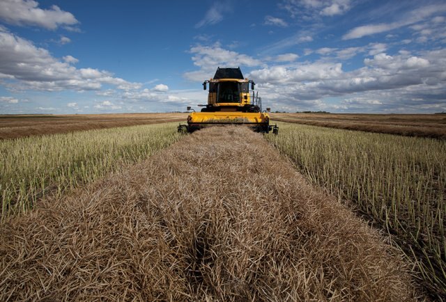 New Holland Model Year 2014 CR Combines 