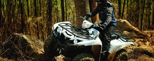 Yamaha Grizzly EPS 2018