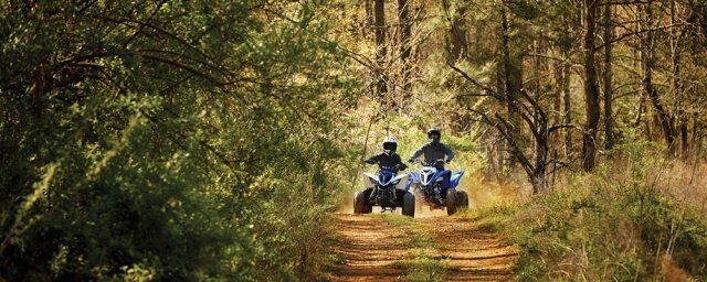 2018 Yamaha Raptor 90