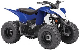 2019 Yamaha YFZ50