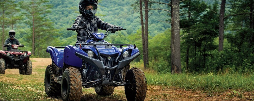 Yamaha Grizzly 90 2019